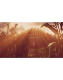 Maize Xbox One &amp Xbox Series XS активация