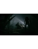 Outlast 2 Xbox One &amp Xbox Series XS активация