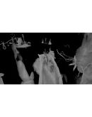 Weakless Xbox One &amp Xbox Series XS активация