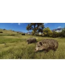 Way of the Hunter Xbox Series XS активация