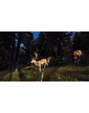 Way of the Hunter Xbox Series XS активация