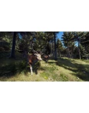 Way of the Hunter Xbox Series XS активация