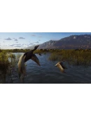 Way of the Hunter Xbox Series XS активация