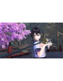 SAMURAI MAIDEN АВТОДОСТАВКА STEAM GIFT РОССИЯ