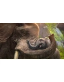 Zoo Tycoon Xbox One & Xbox Series XS активация Zoo Tycoon Xbox One & Xbox Series XS активация