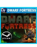 Dwarf Fortress STEAM Аккаунтна 90 дней