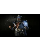 Raiden DLC Steam Gift Россия