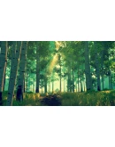 Firewatch Xbox One & Xbox Series XS активация Firewatch Xbox One & Xbox Series XS активация