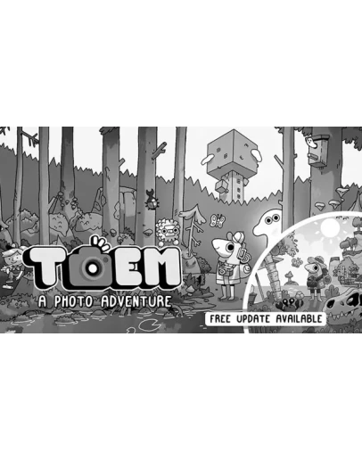 TOEM STEAM Аккаунтна 90 дней