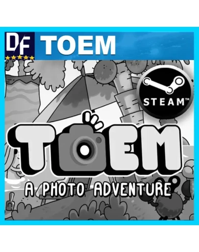 TOEM STEAM Аккаунт