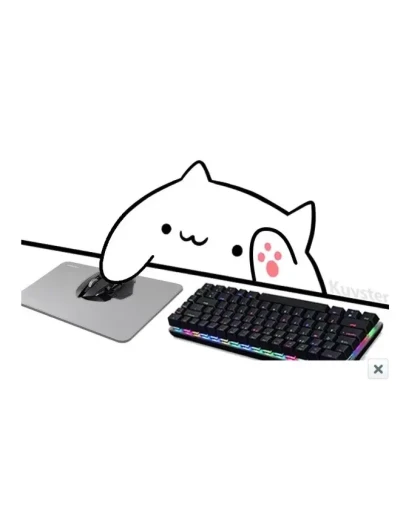 ЗАМЕНА ВЕБКАМЕРЫ НА СТРИМ КОТОМ