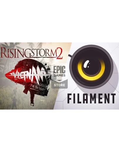 Rising Storm 2: VietnamОНЛАЙН+ Filament Epic+Почта