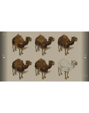 Mount &amp Blade II: Bannerlord - Digital Companion STEAM