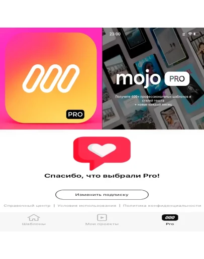 Mojo Reels и Video Maker PRO AppStore iPhone ios iPad