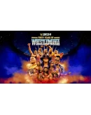 WWE 2K24 PS4/PS5 Турция