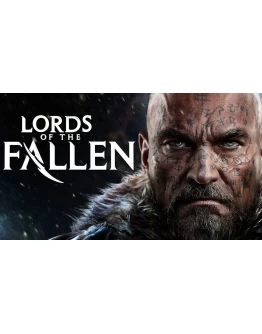 Lords Of The Fallen 2014 Steam/Global Offline