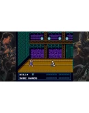 DOUBLE DRAGON : The Sacred Stones Xbox активация