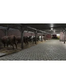 Farmer's Dynasty Xbox One &amp Xbox Series XS активация