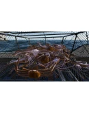 Fishing: North Atlantic Xbox OneXS активация