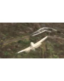 FLYING TIGERS: SHADOWS OVER CHINA Xbox активация