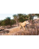 Hunting Simulator Xbox OneXS активация