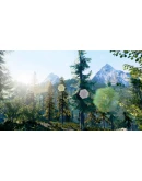 Hunting Simulator Xbox OneXS активация