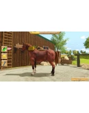 My Little Riding Champion Xbox OneXS активация