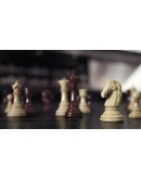 Pure Chess версия Гроссмейстер Xbox активация