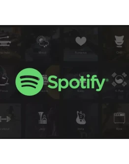 SPOTIFY PREMIUM 3/6/12 МЕС. РАБОТАЕТ В РФ
