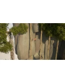 Raji: An Ancient Epiс Xbox OneXS активация