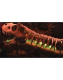 Rogue Stormers &amp Giana Sisters Bundle Xbox активация