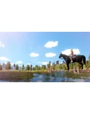 The Unicorn Princess Xbox OneXS активация