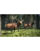 theHunter: Call of the Wild Xbox OneXS активация