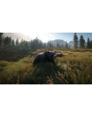 theHunter: Call of the Wild Xbox OneXS активация