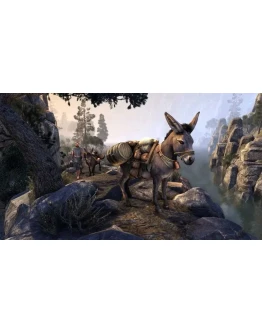 Вьючный осел исследователя