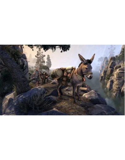 Вьючный осел исследователя