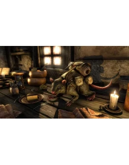 Вьючная крыса из Морнхолда