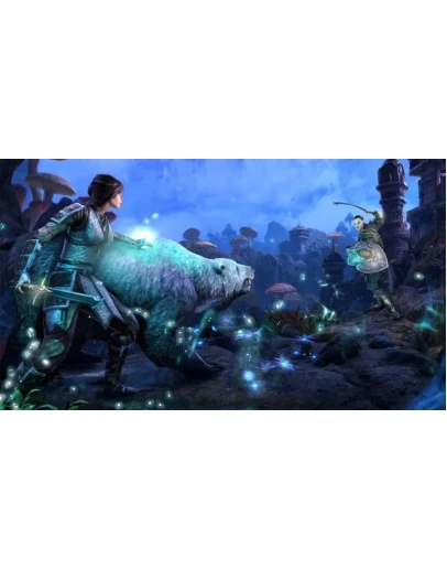 Класс: Хранитель