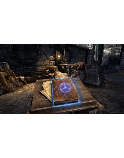 Кронный урок верховой езды Грузоподъемность (10)