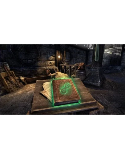 Кронный урок верховой езды Запас сил (10)