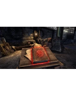 Кронный урок верховой езды Скорость (10)