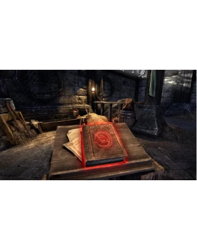 Кронный урок верховой езды Скорость (10)