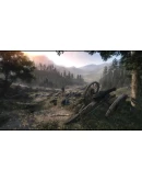 Call of Juarez: Узы Крови Xbox OneXS активация