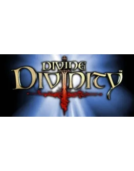 Divine Divinity (Steam Gift Россия)