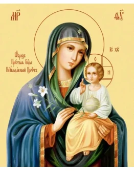 Неувядаемый Цвет_001(66х81см)