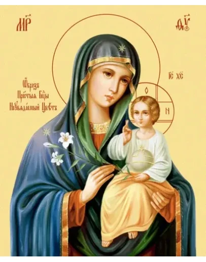 Неувядаемый Цвет_001(66х81см)