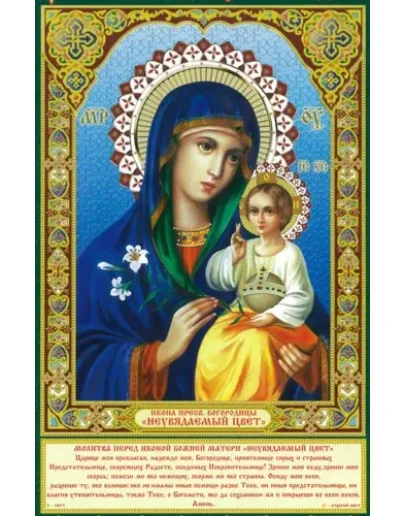 Неувядаемый Цвет_002(54х83см)