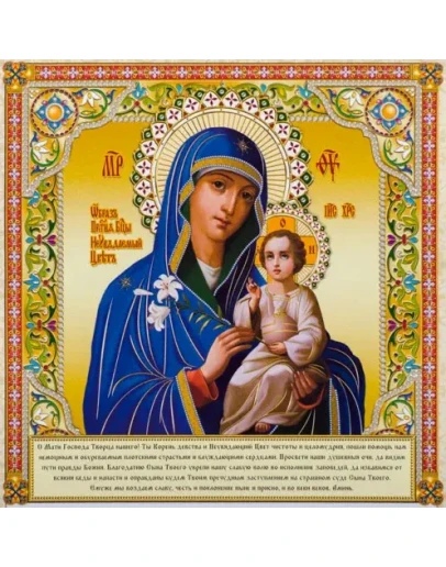 Неувядаемый Цвет_004(70х70см)