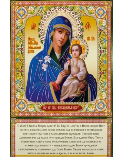 Неувядаемый Цвет_006(65х100см)