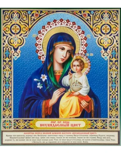 Неувядаемый Цвет_011(70х80см)